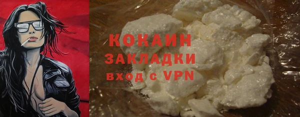 гашик Горняк