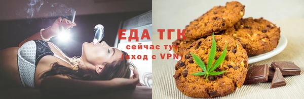 гашик Горняк