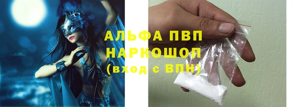 гашик Горняк