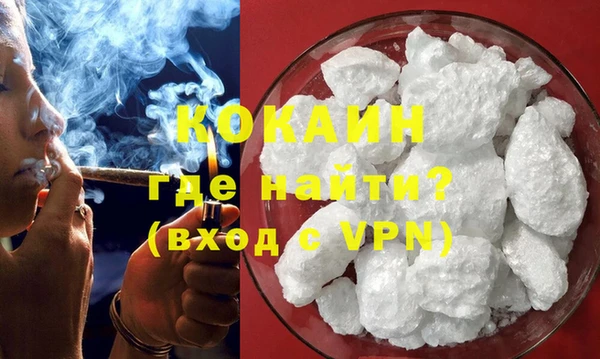 гашик Горняк