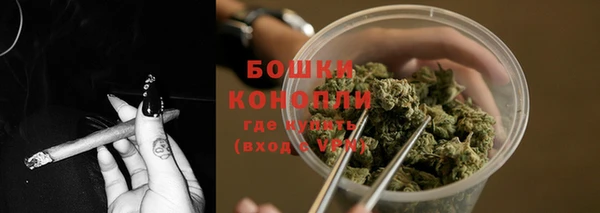 mdpv Горнозаводск