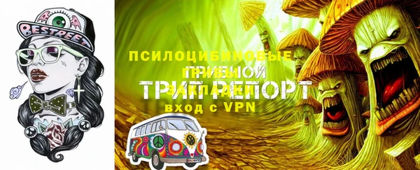 mdpv Горнозаводск