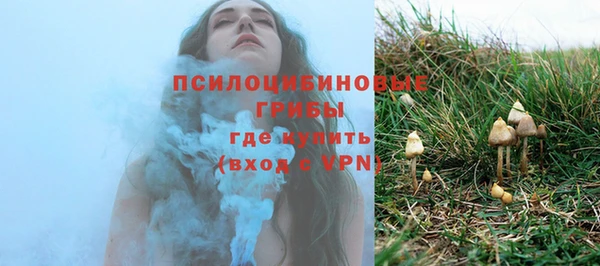 mdpv Горнозаводск