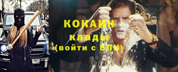 гашик Горняк