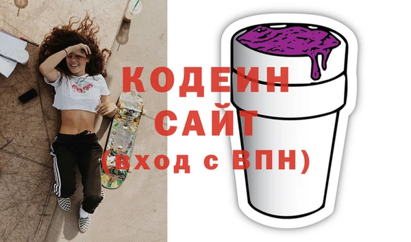 гашик Горняк